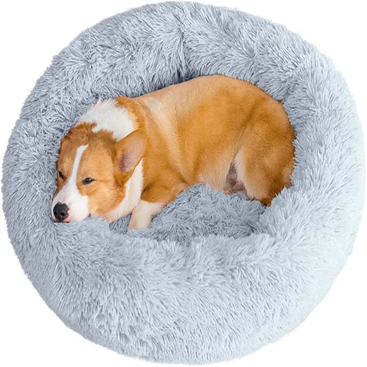 Pet Bed